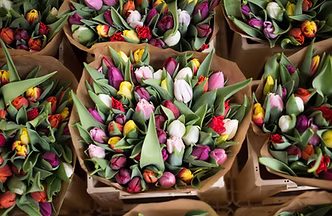 Bouquet of Flowers